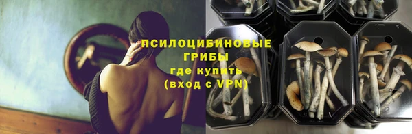 ГАЛЛЮЦИНОГЕННЫЕ ГРИБЫ Володарск